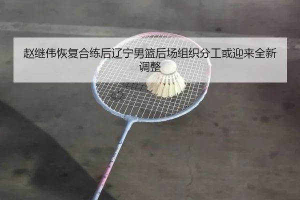 赵继伟恢复合练后辽宁男篮后场组织分工或迎来全新调整